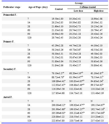 What is a normal follicle size?