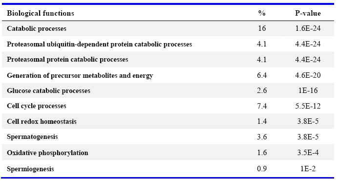 How many proteins in a sperm