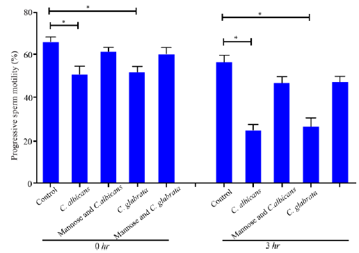 can sperm be tested for yeast Muscular legs sex