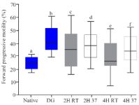 Figure 2. The rate of forward progressive motility in native semen, after DG preparation and in vitro culture, boxes depict the 25th and 75th percentiles with indication of the median, and whiskers depict the 10th and 90th percentiles, a, b (p&lt;0.0001), b, c (p=0.0.001), b, d (p=0.02), b, e (p&lt;0.001), b, f (p=0.001) c, d (p=0.5), e, f (p=0.1)