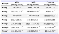 Table 1. Consolidated biochemical Parameters

Groups treated with rutin and naringin have shown reduced MDA levels an decreased SOD and catalase levels when compared to the control group
* P<0.001 vs. Normal control group by one way ANOVA/Tukey’s test
** P<0.001 vs. Control group by one way ANOVA/Tukey’s test

