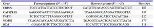 Table 1. Primer sequences and their related PCR product sizes used for real-time RT-PCR