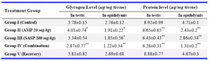 Table 5. Effects of drug treatments after 45 days of treatment on glycogen and protein level in reproductive organs of wistar rats
Values are expressed as Mean±SEM (n=8), * p≤0.01, ** p≤0.001 when compared with control group
