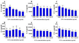 Figure 7. Effect of LPS and LTA on cytokine production by WECs. WECs were treated with different concentrations of LPS; A-C: or LTA; D-F: and the levels of IL-6; A, D: IL-8; B, E: and TNF-α; C, F: were measured by capture ELISA. Control wells received vehicle
 
*: P<0.05
