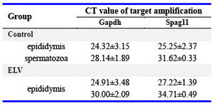 Table 1. CT value of target amplification