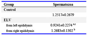 Table 4. The analytical results of corrected optical density of SPAG11E by immunofluorescence on the spermatozoa from the epididymal cauda in the ELV rats (Mean±SD)

Vs. the corresponding control group in ELV group, a: p0.5; vs. right side in ELV group, c: p<0.05
