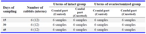 Table 1. Groups of the present study for induction of human Asherman's syndrome in rabbit model