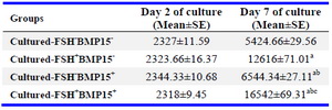 Table 3. The level of 17 &beta; estradiol (pg/ml) in collected media during culture period
a: Significant differences with cultured-FSH-BMP15- group in the same column (p&lt;0.05), b: Significant differences with cultured-FSH+BMP15- group in the same column (p&lt;0.05), c: Significant differences with cultured-FSH-/ BMP15+ group in the same column (p&lt;0.05)
