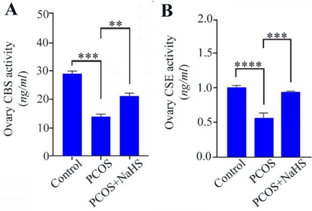 Figure 3 Changes in cystathionine β-synthase (CBS) (A) and cystathionine γ-lyase (CSE) (B) activity in different groups (n=6). Data are expressed as mean±SEM. 
# Indicates p<0.0001 compared to the control group. * Indicates p<0.001 compared to 