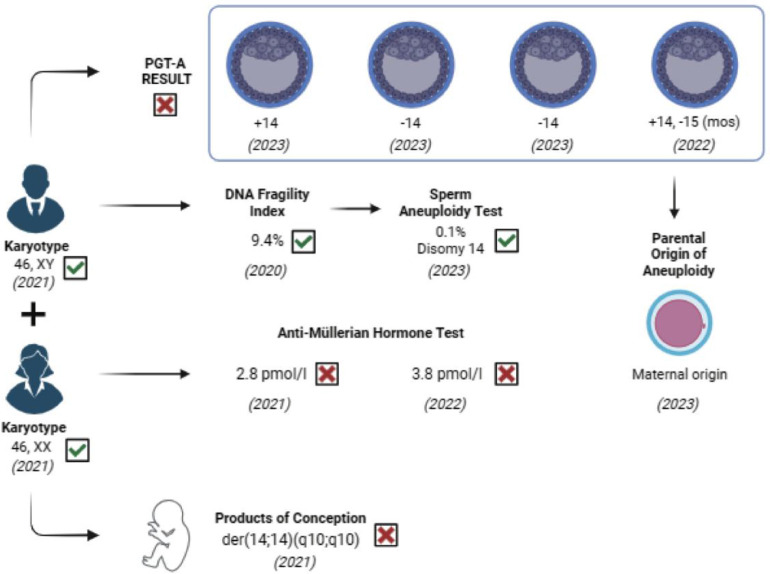 Figure 1 Summary illustration of investigations performed. The karyotype analysis was conducted for the couple due to their history of multiple miscarriages, and the products of conception were tested for one of the miscarriages. The embryos created