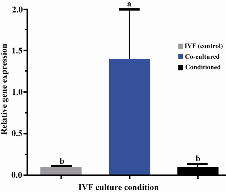 Figure 1 Gene expression of zygote arrest 1 (Zar 1) in ovine zygotes produced in different culture conditions. a.b) Columns with different superscript differ significantly (p<0.01)