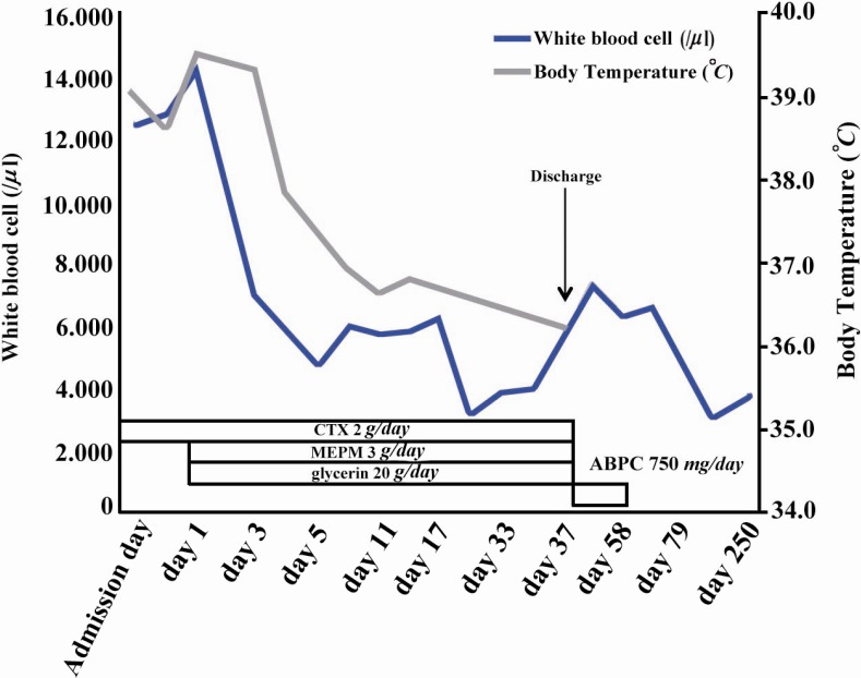 Figure 1 Course of treatment. Body temperature slowed down after the day 7