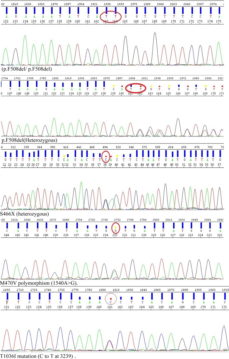 Figure 1 Nucleotide alterations identified by sequencing