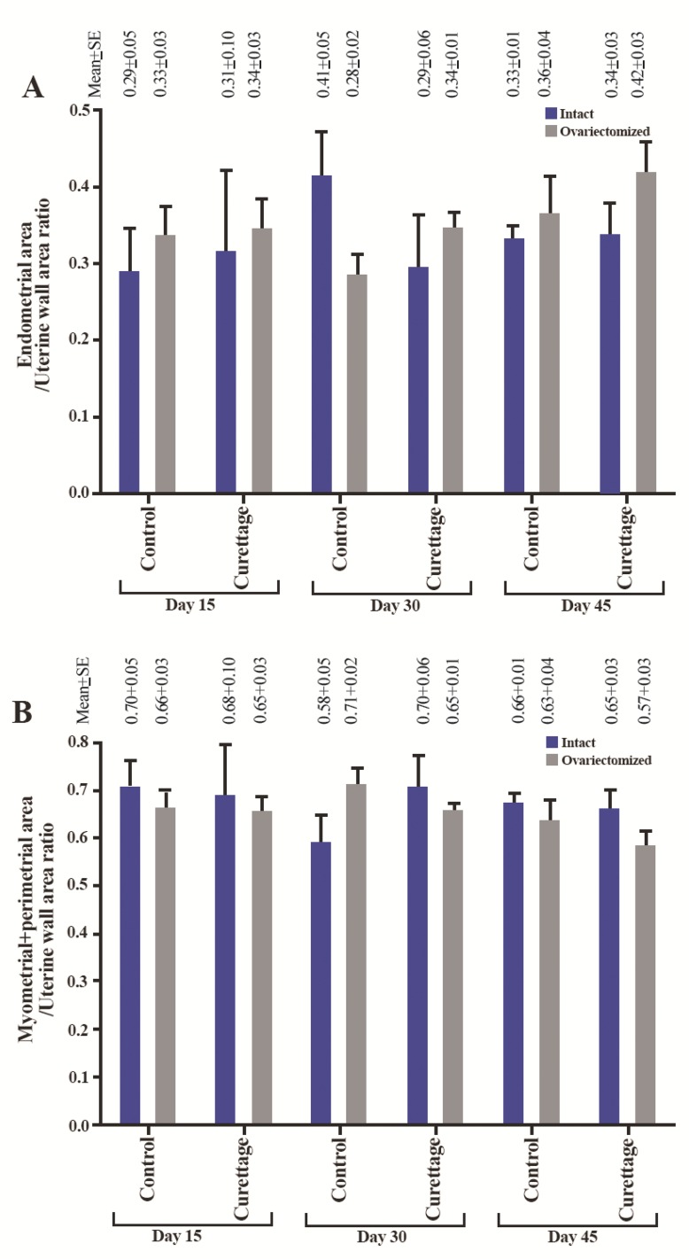 Figure 5. Mean and standard error of histopathologic indices of curetted and control uterus in rabbits in intact and ovariectomized groups, 15, 30, and 45 days after Asherman's syndrome induction. A: Endometrial area/uterine wall area ratio, C: Myome