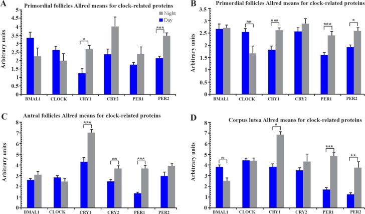 Figure 1. Mean Allred positivity scores for each respective clock related proteins. The four follicle stages all display a clock where the positive clock-proteins (BMAL1 and CLOCK) presented greater scores in day sections. Conversely, the four negati