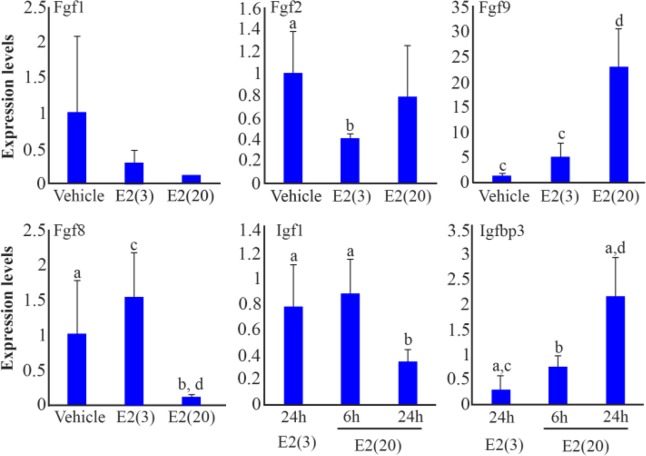Figure 4. Expression of genes regulated by progesterone (P4) and estrogen (E2). Significant differences are indicated by different letters for the same molecule (average±SD, a–b: p<0.05, c–d: p<0.01)