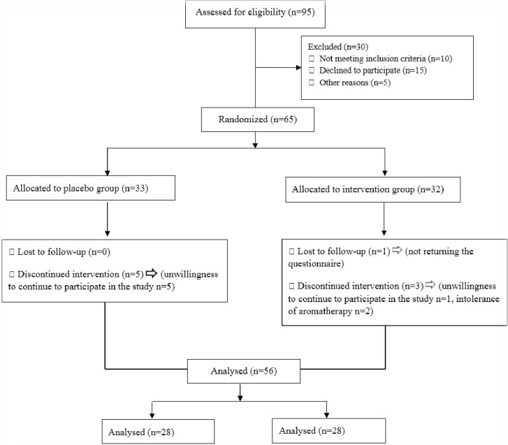 Figure 1. Flow diagram of participants through each stage of randomized controlled trial