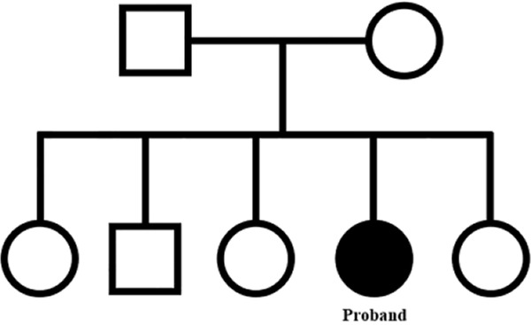 Figure 3. Pedigree of the proband