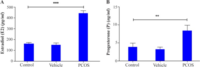 Figure 2. Serum (A) estradiol and (B) progesterone concentrations from control and DHEA-treated mice were evaluated by radioimmunoassay in mice (20 mice for each group). The serum levels of estradiol and progesterone were increased after treatment wi