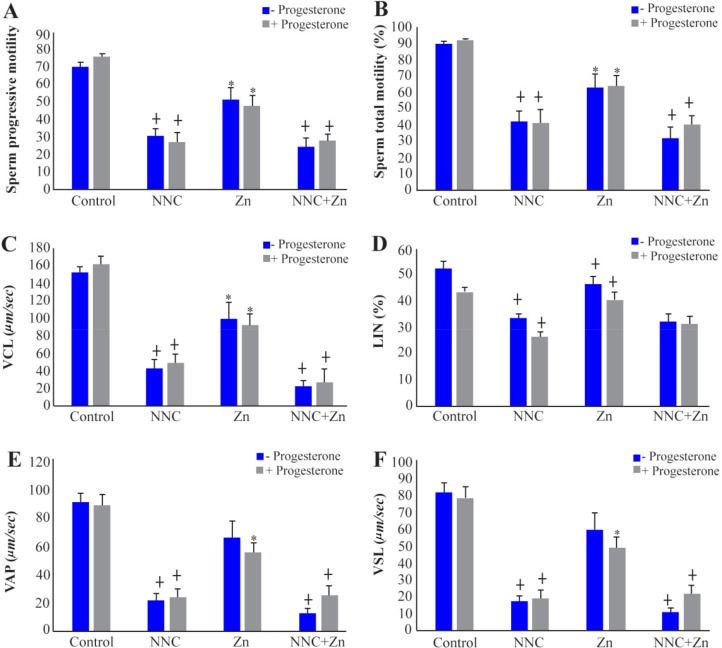 Figure 1. Effects of 1 μM progesterone, CatSper and Hv1 channel inhibitors (2 μM NNC and 1 mM Zn, respectively) on sperm progressive motility (A), total motility (B), VCL (C), LIN (D), VAP (E), and VSL (F). * Significant difference with control group