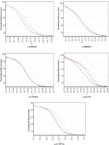 Figure 1. Normalized graphs for HRM of different TNF-α gene’s promoter polymorphisms