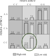 Figure 1. Distribution of high- and low-risk genotypes in the best two-locus model VEGFA(-634G>C (rs2010963), -2578C >A) (rs699947). High- (Dark shading) and low-risk (Light shading). The number of pregnancy loss subjects (Left black bar in box