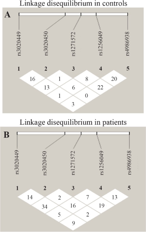 Figure 1. (a) and (b). Linkage disequilibrium analysis in controls and patients