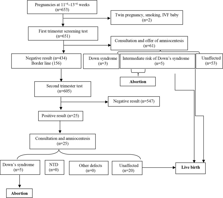 Figure 1. Flowchart for process of screening