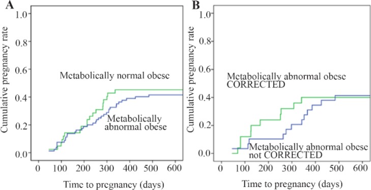 Figure 1. Cumulative pregnancy rates according to metabolic status (Kaplan-Meier analysis)