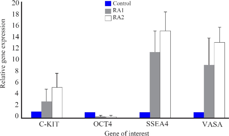 Figure 3. Changes in the expression of primordial germ cell (PGC) -specific markers in the human amniotic membrane mesenchymal stem cells (HAMSCs) after 14 days of treatment with 1 and 2 μM retinoic acid in comparison with control group. Values are s