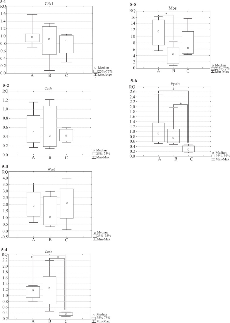 Figure 5. The box-and-whisker plot illustrating gene expression levels (Cdk1, Ccnb, Wee2, Ccnh, Mos and Epab– Figures 5.1–5.6, correspondingly) in oocytes from three different groups: A–oocytes obtained from mature mice (3 months, samples n=8), B–ooc