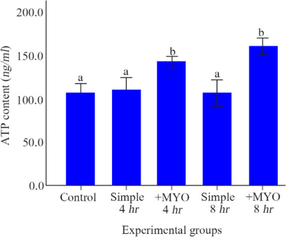 Figure 4 The effect of preincubation time and myo-inositol supplementation on the adenosine triphosphate (ATP) content. ATP content of mouse MII oocytes preincubated in each simple and supplemented medium for 0, 4 and 8 hr were analyzed by ELISA meth