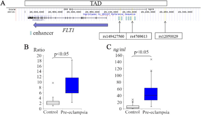 Figure 1. Genetic analysis of the FLT1 gene in pre-eclampsia. A) Location of three variants. The horizontal arrow indicates the location of the FLT1 gene exons and its transcription direction. The vertical arrows indicate the location of the three va