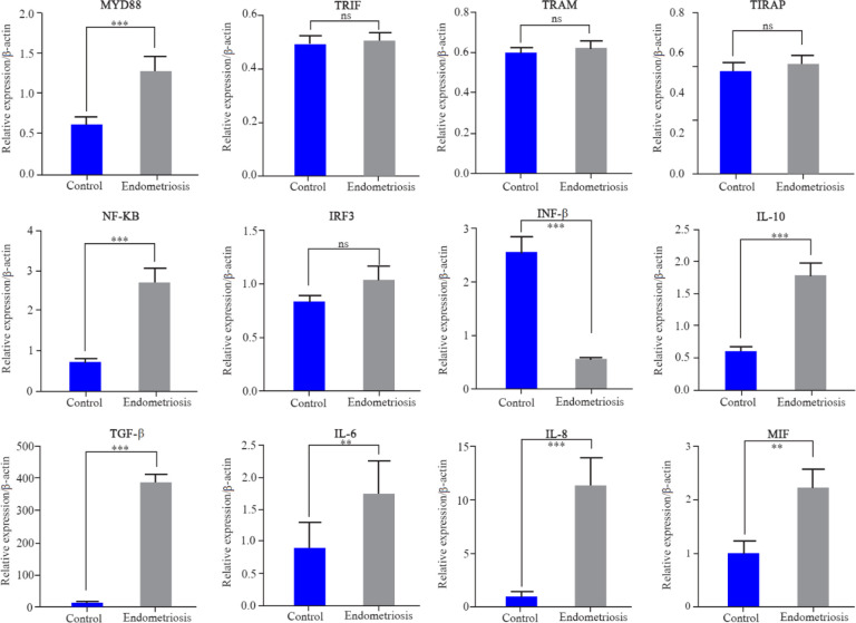Figure 2. Q-PCR was used to quantify the expression of MYD88, TIRAP, TRIF, TRAM, NF-ĸB, IRF3, INF-β, IL-10 and TGF-β genes in granolosa cells in endometriosis and control groups. Data are presented as mean±SEM of normalized expression values against
