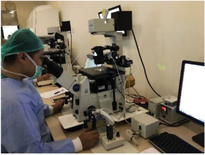 Figure 1. Laser assisted immotile sperm selection (LAISS) procedure