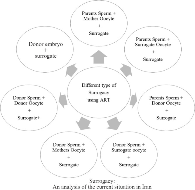 Figure 2. Seven possible combined forms of pregnancy in surrogacy by ART methods. Surrogacy is possible in the forms shown above and is done based on a contract which obligates the surrogate mother to deliver the child to the recipient family after p