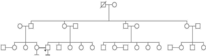 Figure 1. Pedigree analysis: Pedigree analysis of the proband up to previous three generations. White symbol (Square or circle)-a healthy person, white symbol (Square or circle with diagonal stroke)-death of that individual, individuals connected wit