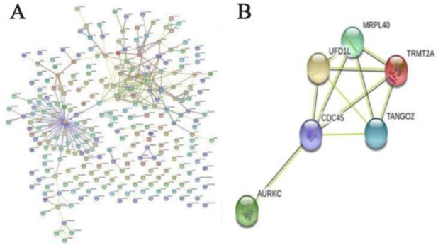 Figure 5. Breakpoint analysis through protein-protein interaction studies. A) STRING generated PPI networks between all the proteins present at the breakpoint location; B) PPI networks between the selected proteins involved in the breakpoint region, 