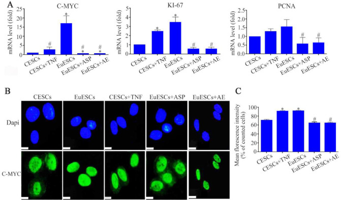 Figure 5. The effect of Asp/AE on proliferation capacity of EuESCs, A) the downregulated levels of proliferative genes; C-MYC, KI67 and PCNA, in untreated EuESCs and those treated with Asp/AE were measured by quantitative polymerase chain reaction (q
