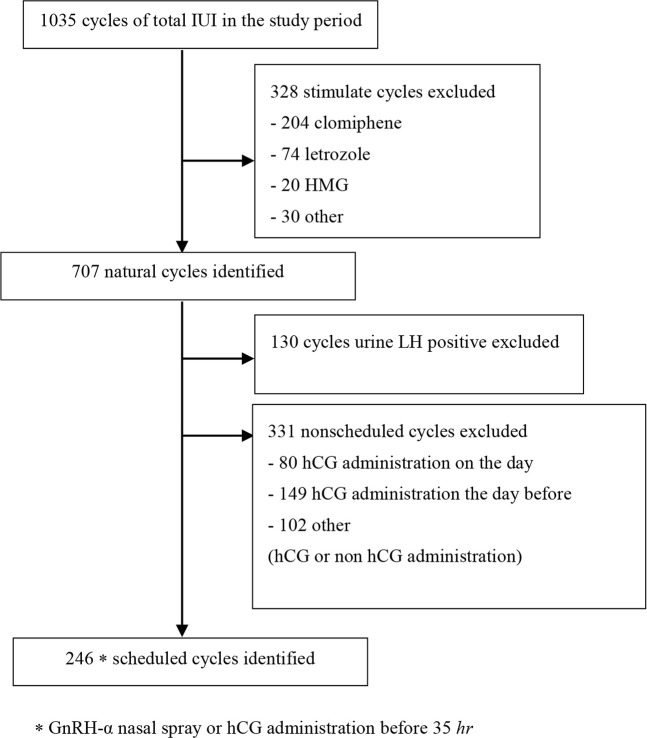 Figure 1. The flow diagram of participant identification and inclusion/exclusion in intrauterine insemination (IUI) group. Of the IUI cycles available in women ≤35 years of age, 246 cycles were included in the analysis after exclusion of 323 cycles i