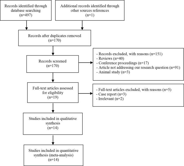 Figure 1. Study selection process