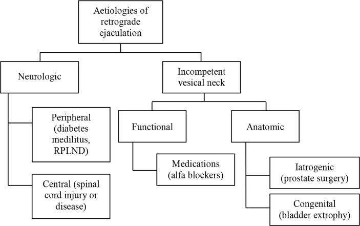 Figure 1. Aetiology of retrograde ejaculation