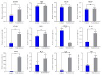 Figure 2. Q-PCR was used to quantify the expression of MYD88, TIRAP, TRIF, TRAM, NF-ĸB, IRF3, INF-&beta;, IL-10 and TGF-&beta; genes in granolosa cells in endometriosis and control groups. Data are presented as mean&plusmn;SEM of normalized expression values against endogenous controls (B-actin and GAPDH mRNA) in POR and control. MYD88, NF-ĸB, IL-10 and TGF-&beta; showed a significantly higher expression in endometriosis patients compared with the control. The expression of TIRAP, TRIF, TRAM, and IRF3 revealed no significant difference in endometriosis patients compared to the control group. INF-&beta; showed significantly lower expression in endometriosis patients compared with the control group. Data were analyzed by t-test. The level of significance was set at p&lt;0.05