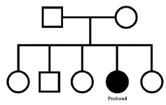 Figure 3. Pedigree of the proband