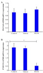 Figure 4. No significant difference in expression of PGC1&alpha; was observed between groups, (A) whereas, significant down regulation in FNDC5 transcripts was observed in granulosa cells of PCOS mice compared with the control (B). Star indicates significant difference between samples at p&lt;0.05. The number of mice for each group was 20. One-way ANOVA, Tukey's Post Hoc test was used for statistical analysis