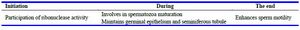 Table 4. Roles of Zn during various phases of spermatogenesis