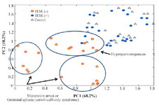 Figure 2. PCA analysis of Raman spectra gives a possible subdivision of TESET(-) groups. TESE(-) group are subdivided to hypospermatogenesis, maturation arrest and germinal aplasia (Sertoli-cell-only syndrome) based on the position in the graph