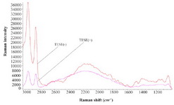 Figure 3. The average spectra of triplicated analysis of 10 TESE(+) versus 10 TESE(-) patients using Raman spectra. The &ndash;CH functional group (2800-3000 cm-1) is biomarker of oxidative imbalance