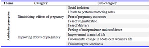 Table 1. Categories and sub-categories of ambivalence perception