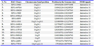 Table 1. BAC clones showing the FISH results on the derivative chromosomes